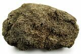 Dinosaur (Triceratops) Bone Section - Montana #366579-1